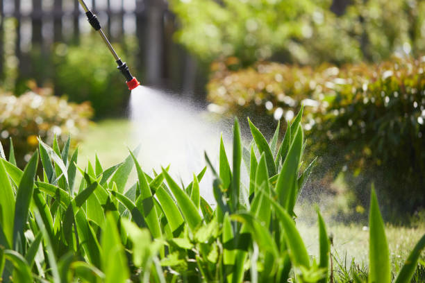 24/7 Emergency Fumigation Services experts in Romney, WV