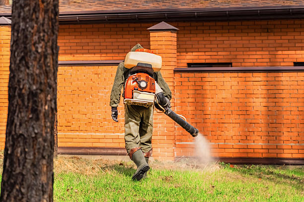 Top rated local Fumigation Services specialists in Romney, WV